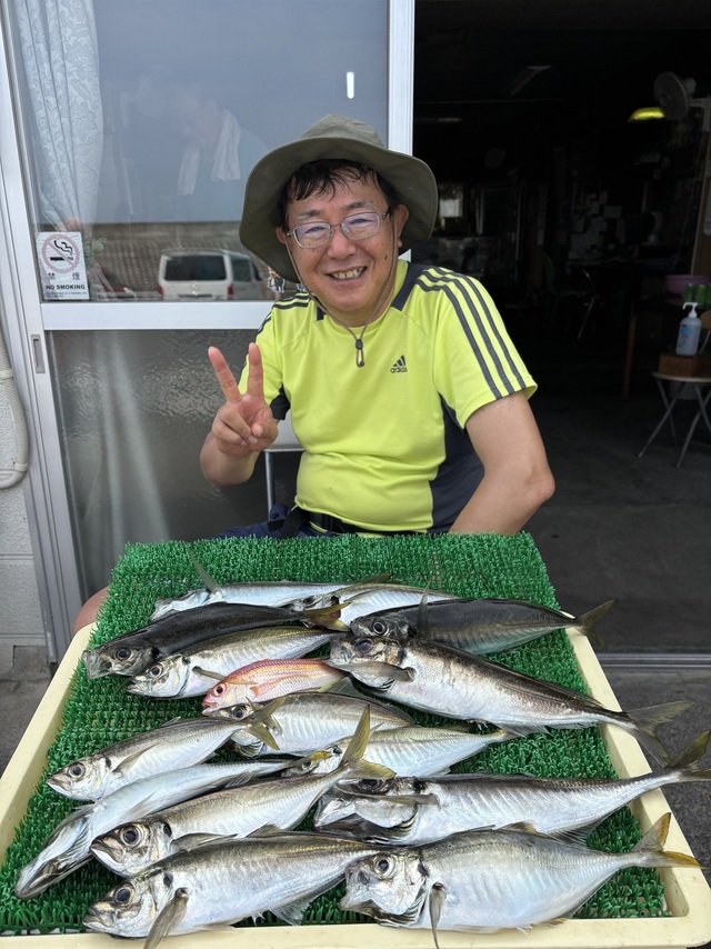 相模湾（神奈川県）で釣れたマアジの最新釣果、釣り情報【2026年7月】