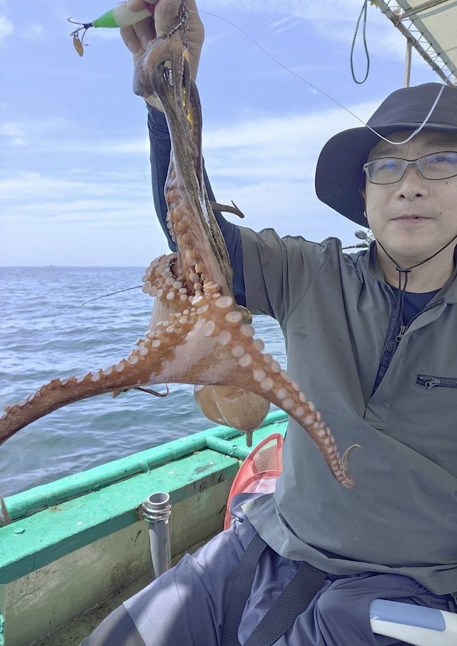 タコ(マダコ)