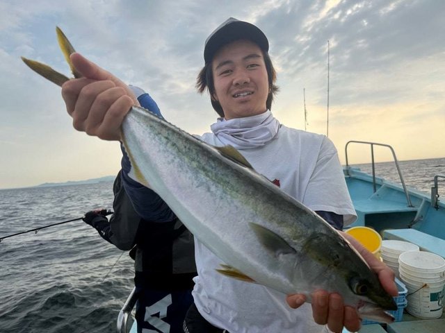 ハマチ(ブリ)