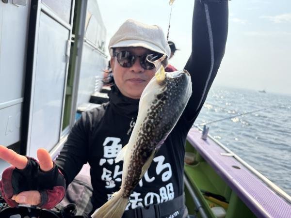 ショウサイフグ