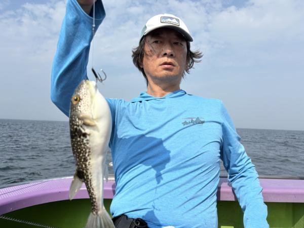 ショウサイフグ