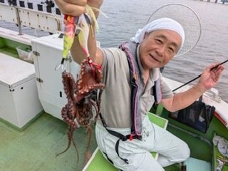 マダコ
