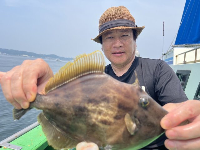 カワハギ