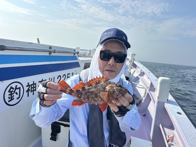 カサゴ