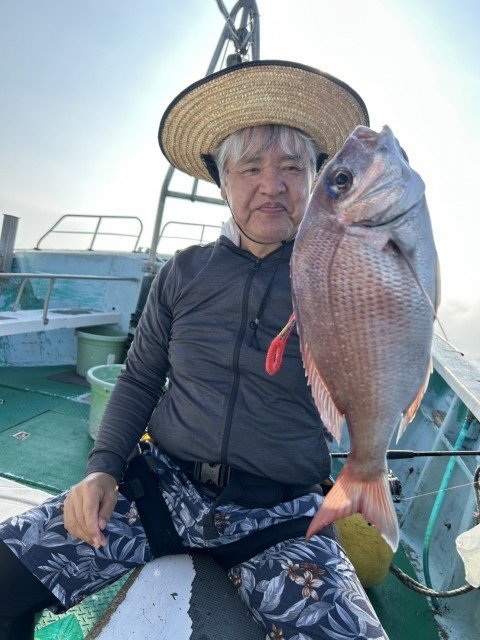 マダイ