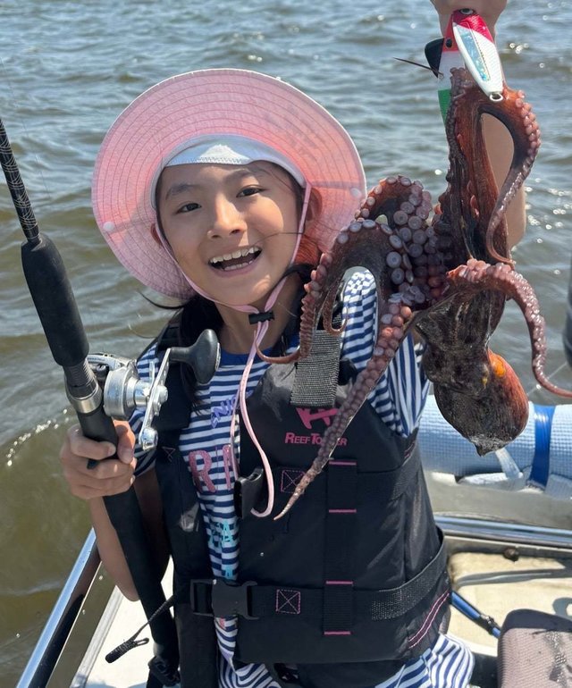 タコ(マダコ)
