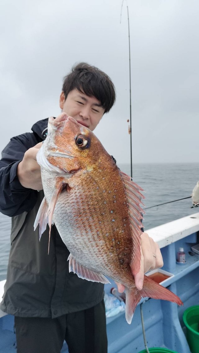 マダイ