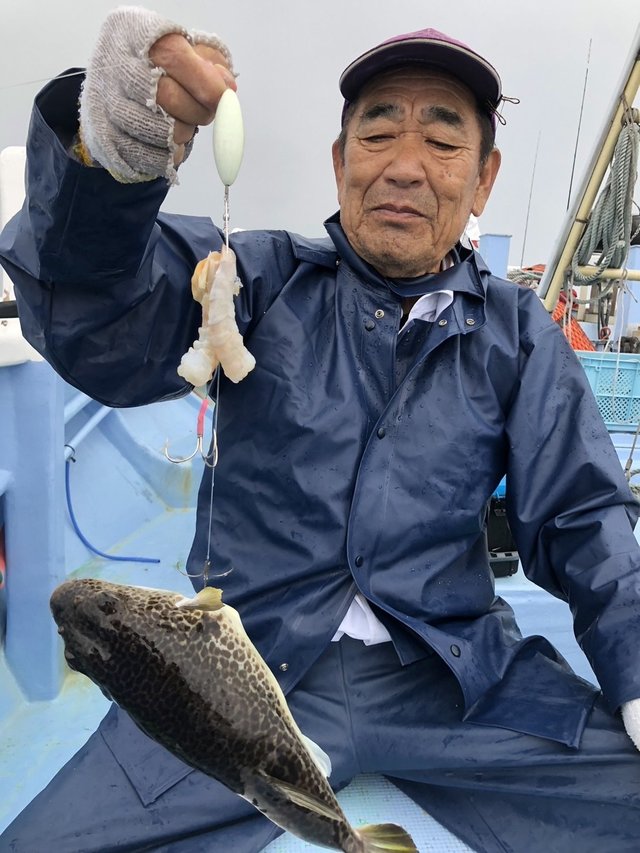 ショウサイフグ