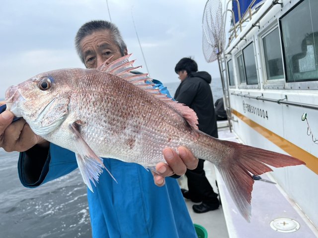 マダイ