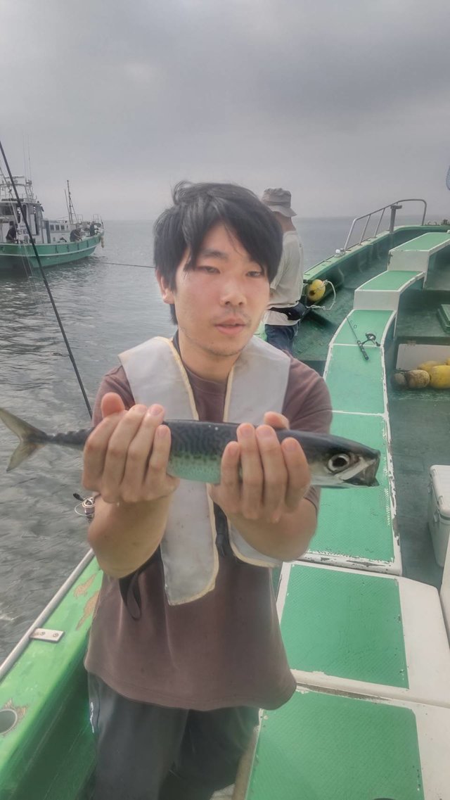 サバ(マサバ)