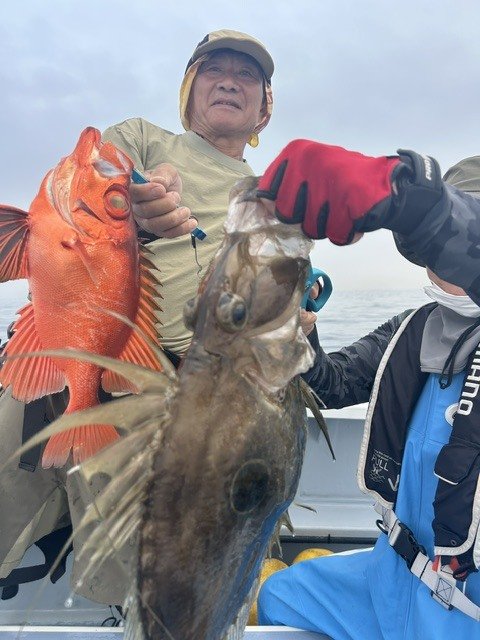 キントキ(チカメキントキ)・マトウダイ