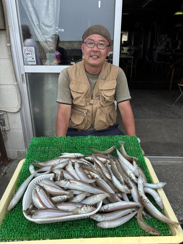 シロギス