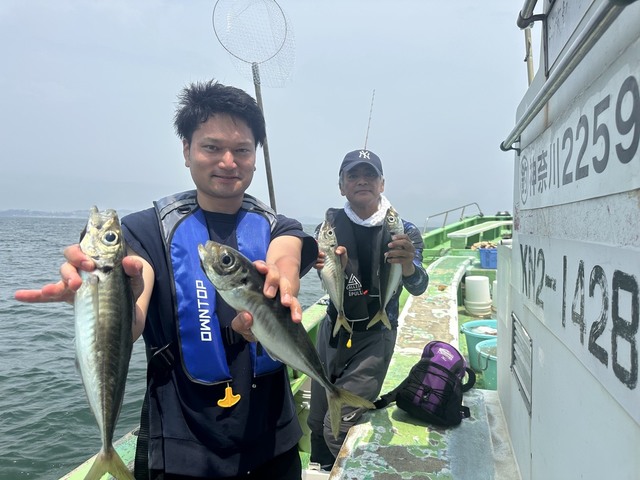 アジ(マアジ)