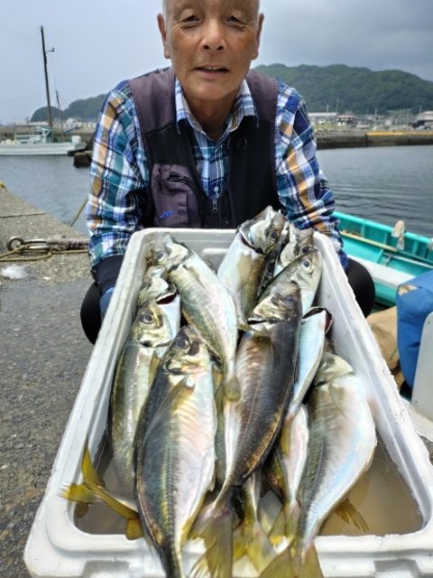 アジ(マアジ)