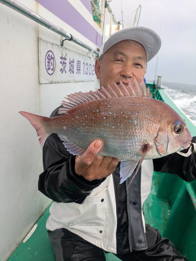 マダイ