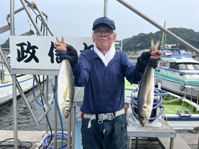 アジ(マアジ)