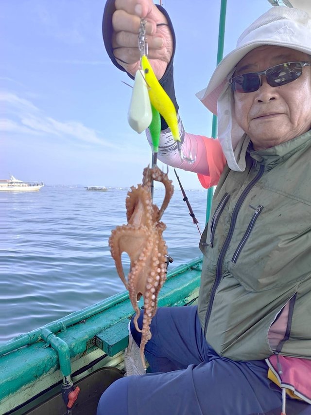マダコ
