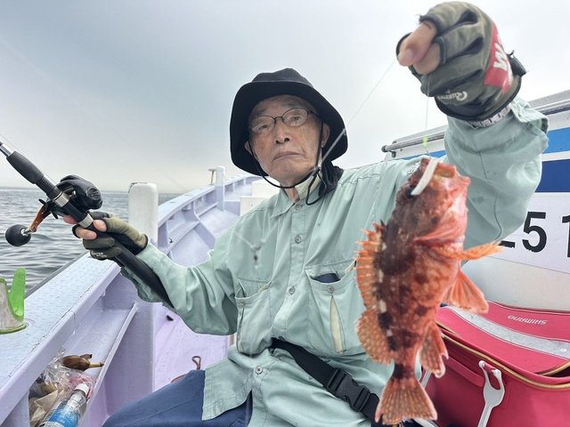 カサゴ