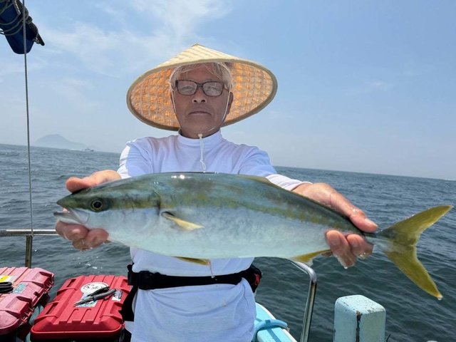 ハマチ(ブリ)