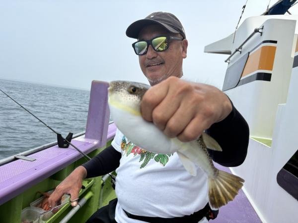 ショウサイフグ