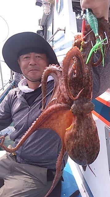 マダコ