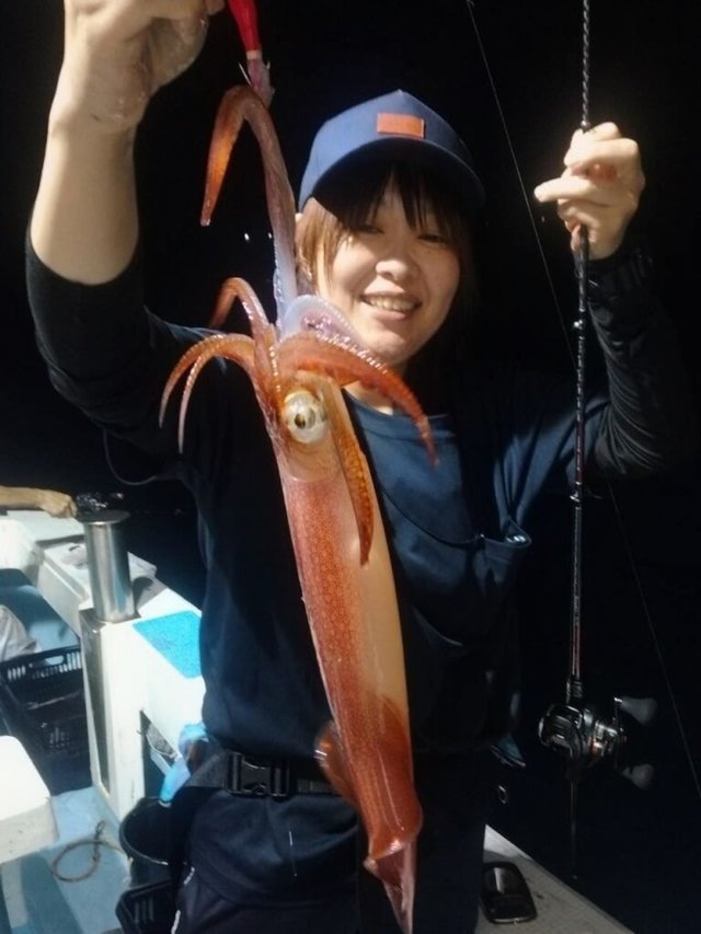ヤリイカ