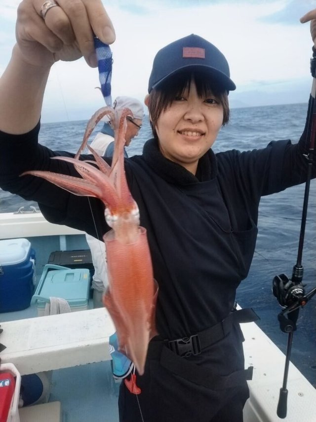 ヤリイカ