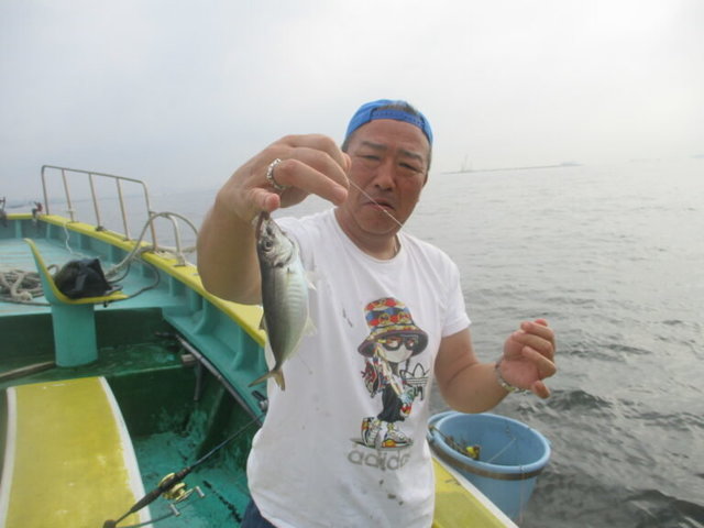 アジ(マアジ)