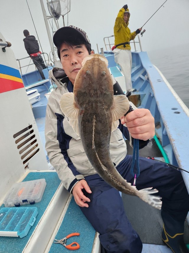 マゴチ
