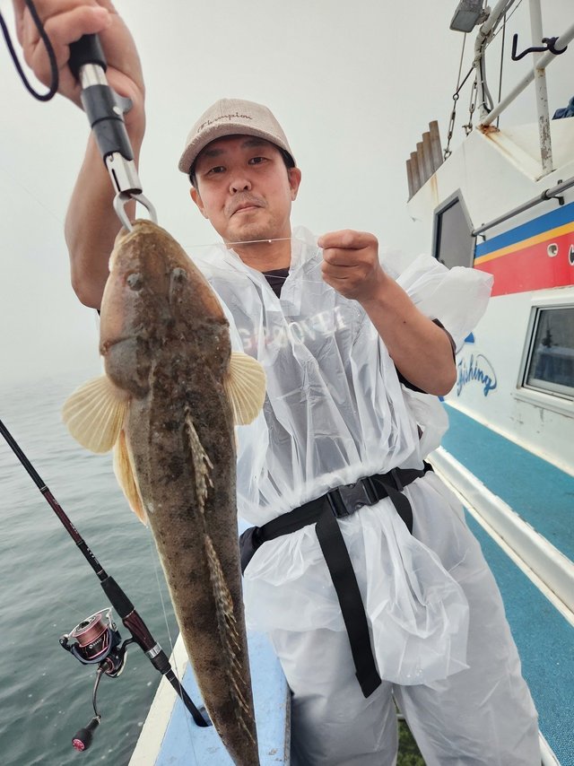マゴチ