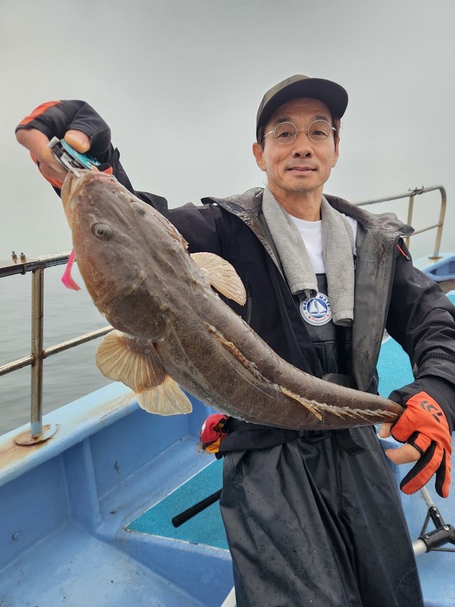 マゴチ