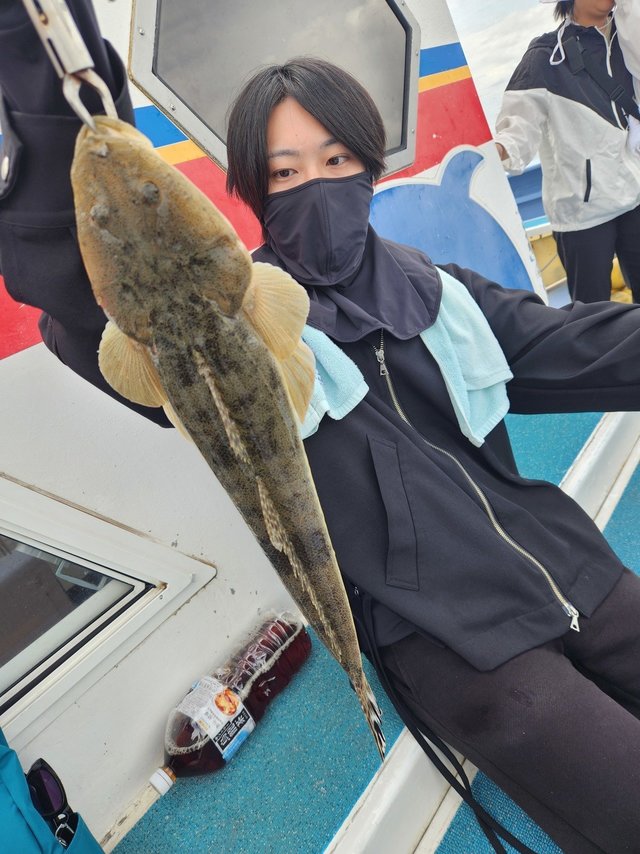 マゴチ