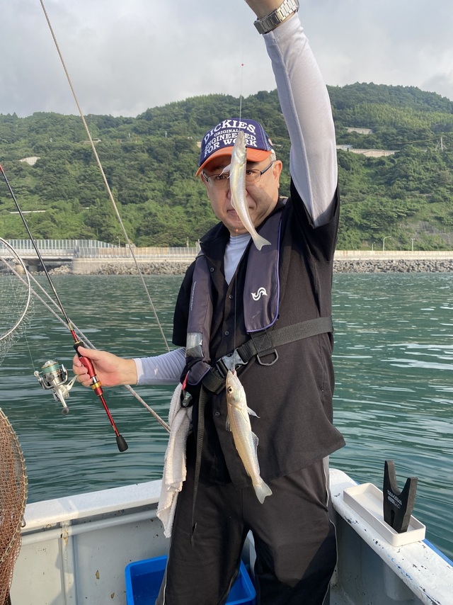 シロギス