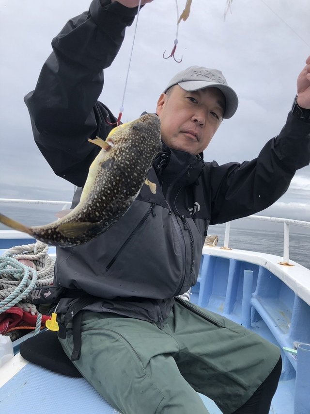 ショウサイフグ