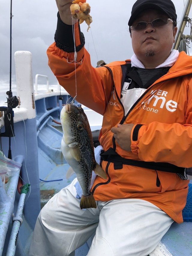 ショウサイフグ