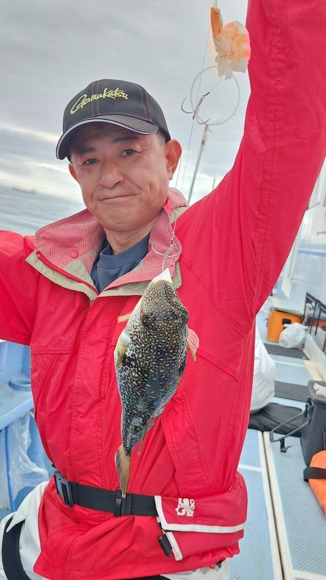 ショウサイフグ