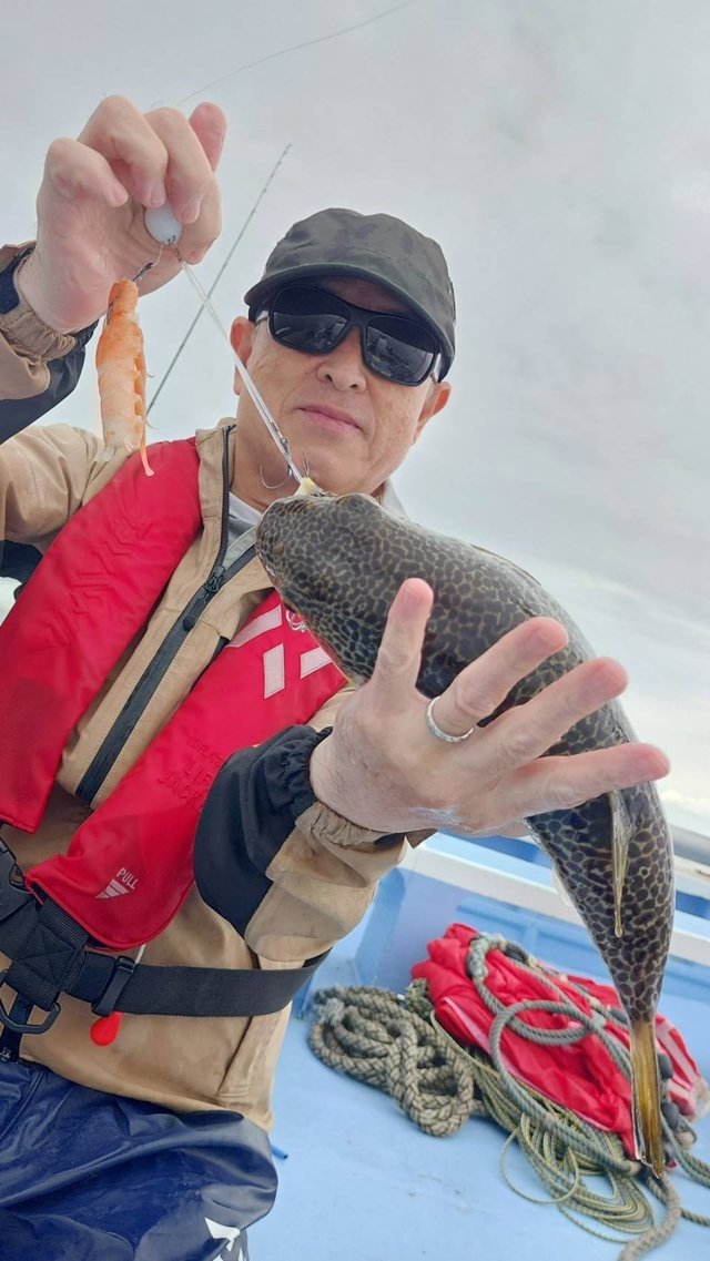ショウサイフグ
