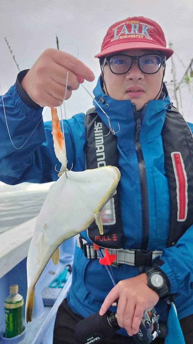 ショウサイフグ