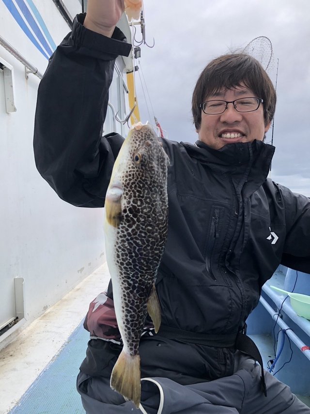 ショウサイフグ