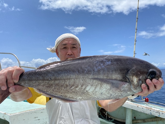 メダイ