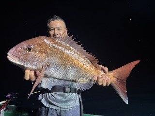 マダイ