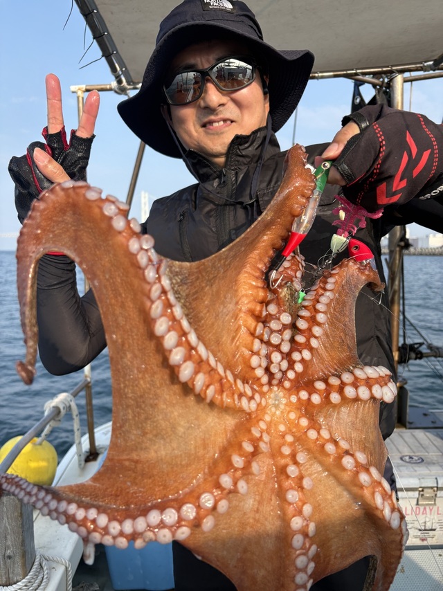 マダコ