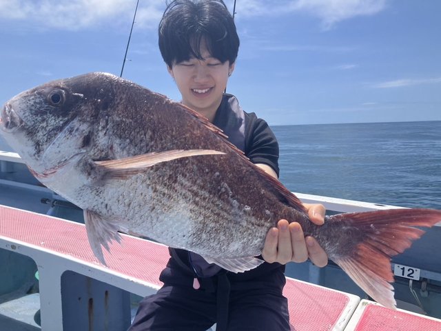 マダイ