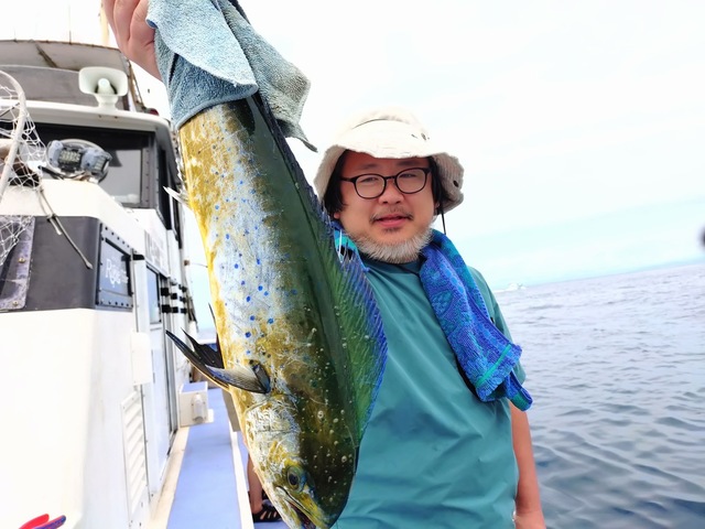 シイラ