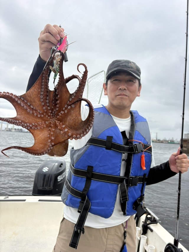 マダコ