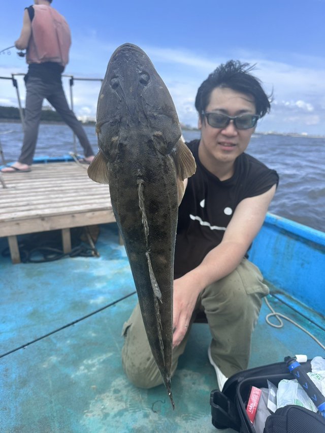 マゴチ