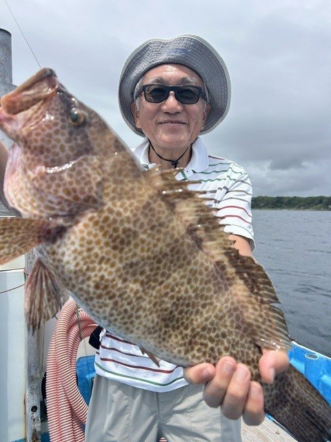 オオモンハタ
