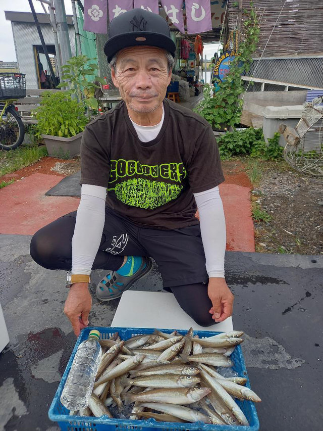 シロギス