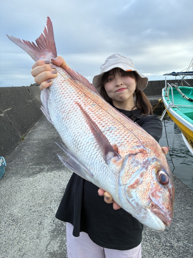 マダイ