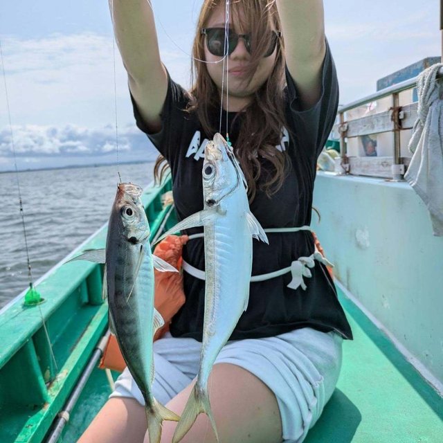アジ(マアジ)